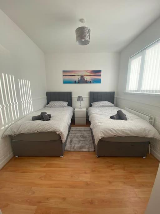 Modern Two Bed House Close To City Centre Белфаст Экстерьер фото